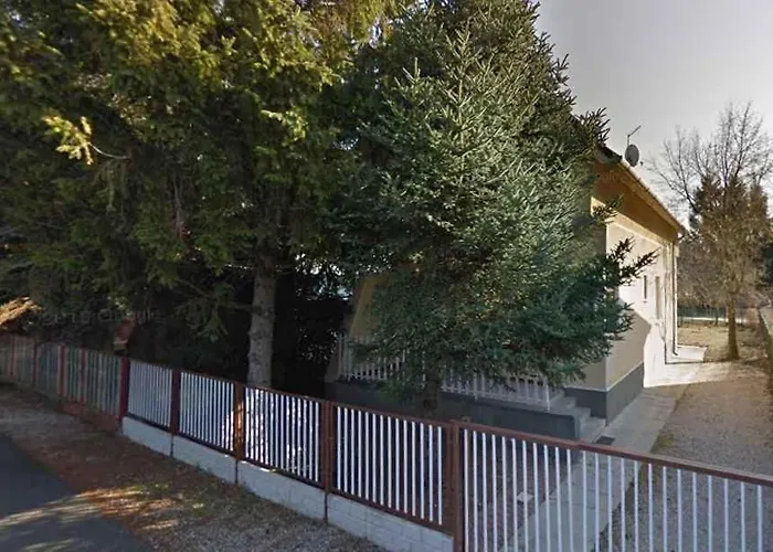 In - Balaton 43965 Holiday home